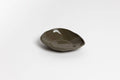 Haan Condiment Dish & Spoon Set